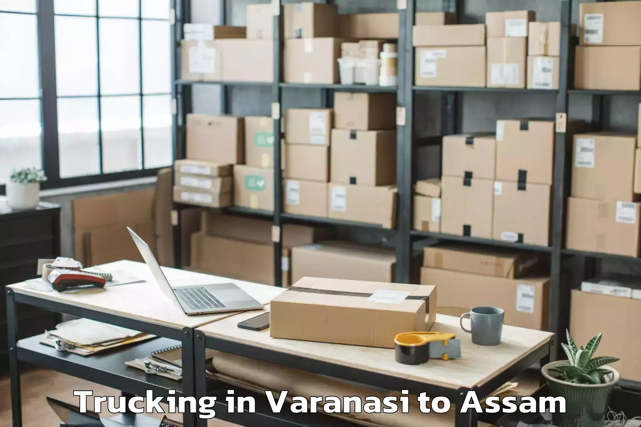 Varanasi to Hamren Trucking Booking